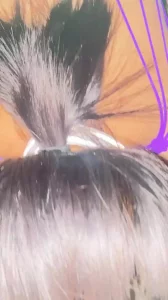 [原创] 穿上粉丝送的内衣，戴项圈、打屁股、舔屁眼，叫baba，高潮喷了一米远