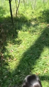 熟女人妻野外操逼