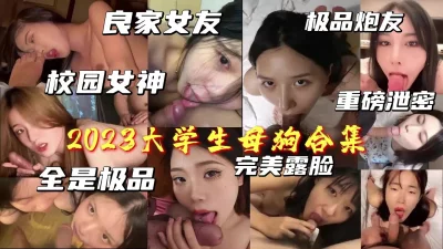 2023大学生母狗合集，完美露脸全是极品【约妹看下遍简阶】